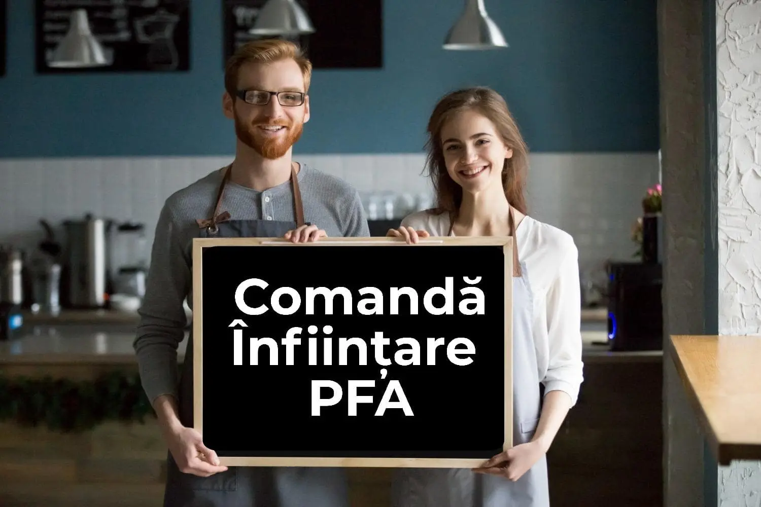 comanda infiintare pfa
