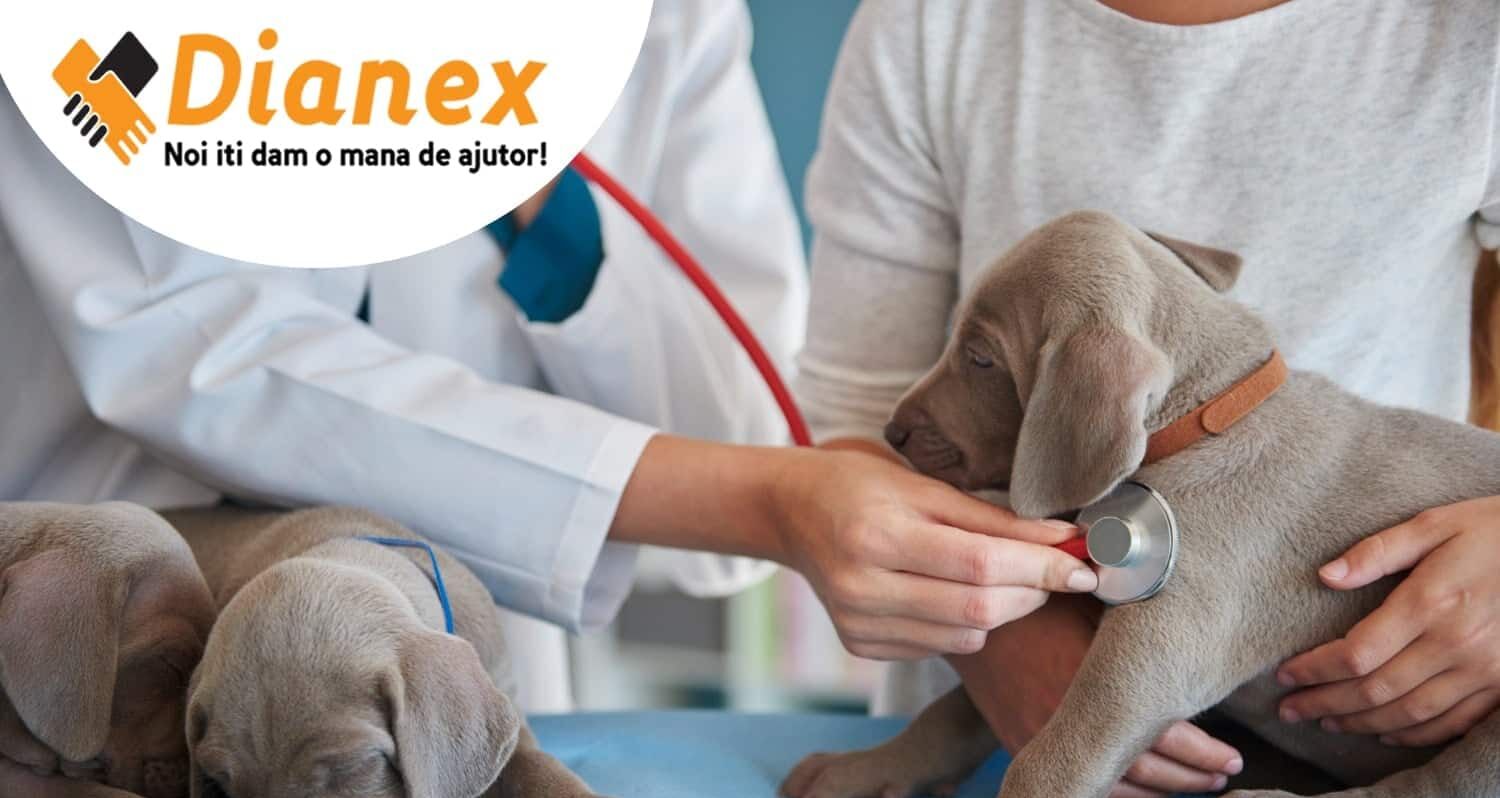 directia-sanitar-veterinara